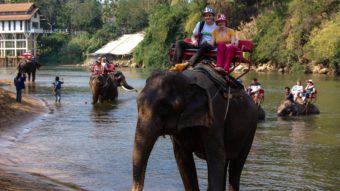 2012.12.20 - Путешествие по Таиланду - Поездка на реку Квай и катание на слонах