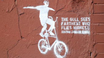 2014.02.05 05 Велосипеды и граффити Чем выше летает чайка тем дальше она видит Чайка Джонатан Ливингстон Eric__I_E CC BY1
