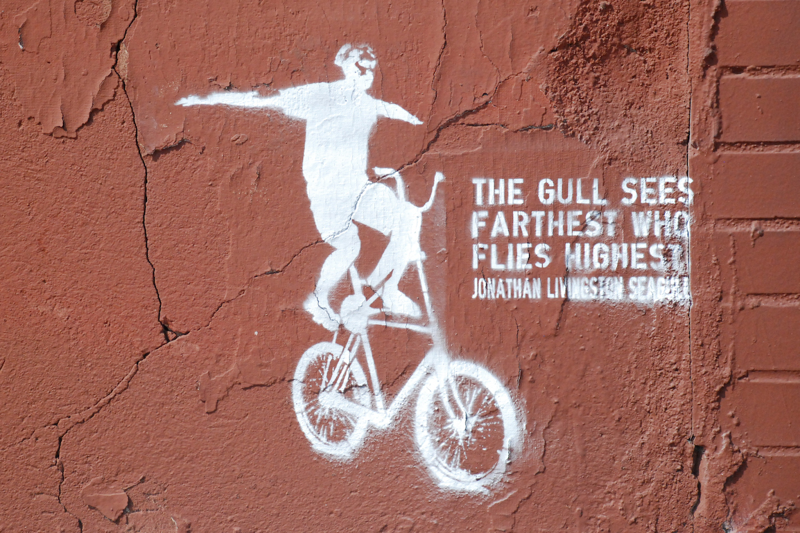 2014.02.05 05 Велосипеды и граффити Чем выше летает чайка тем дальше она видит Чайка Джонатан Ливингстон Eric__I_E CC BY1