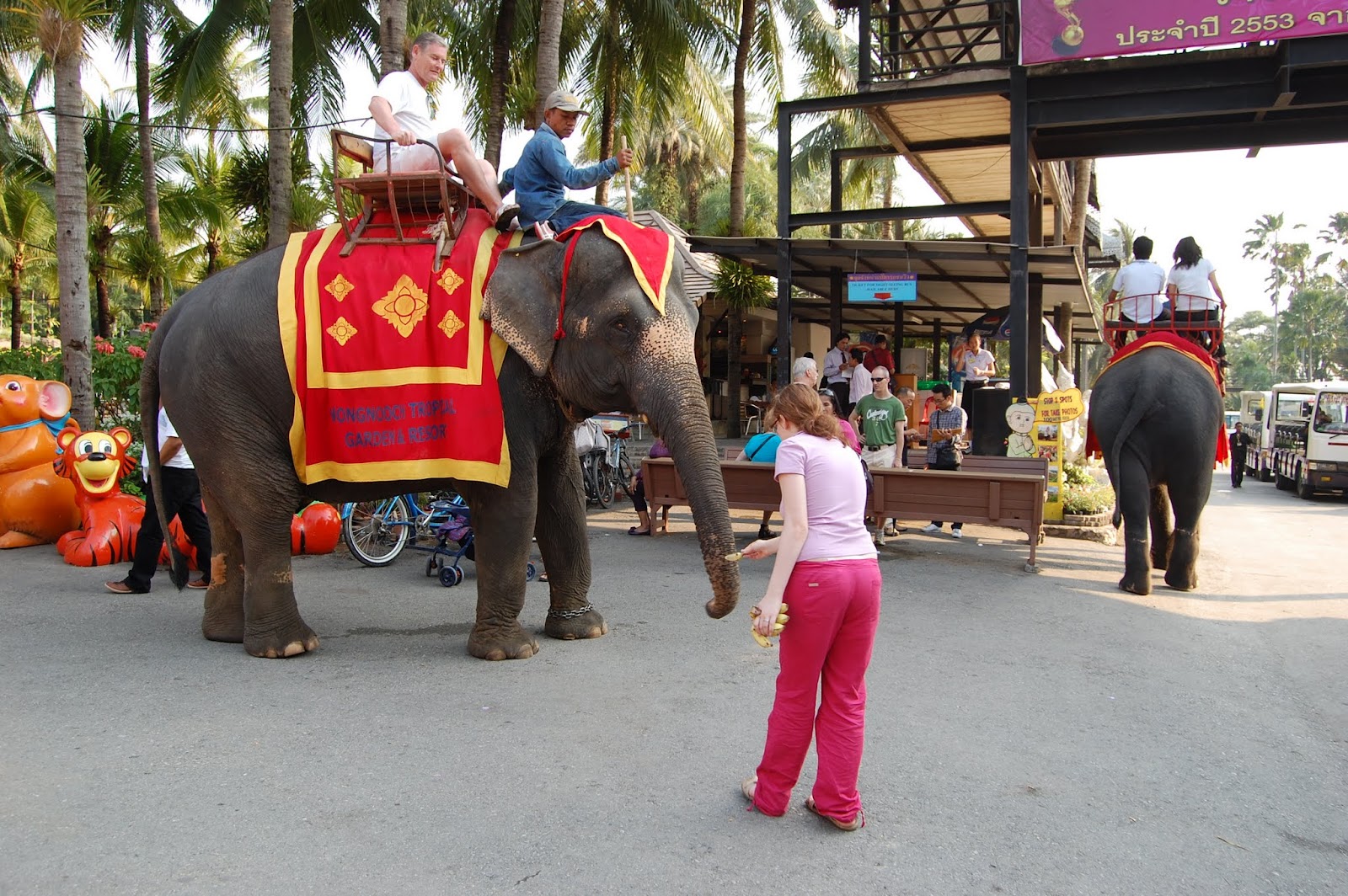 Поездка в Таиланд - Ботанический сад Нунг-Нуч - Шоу слонов