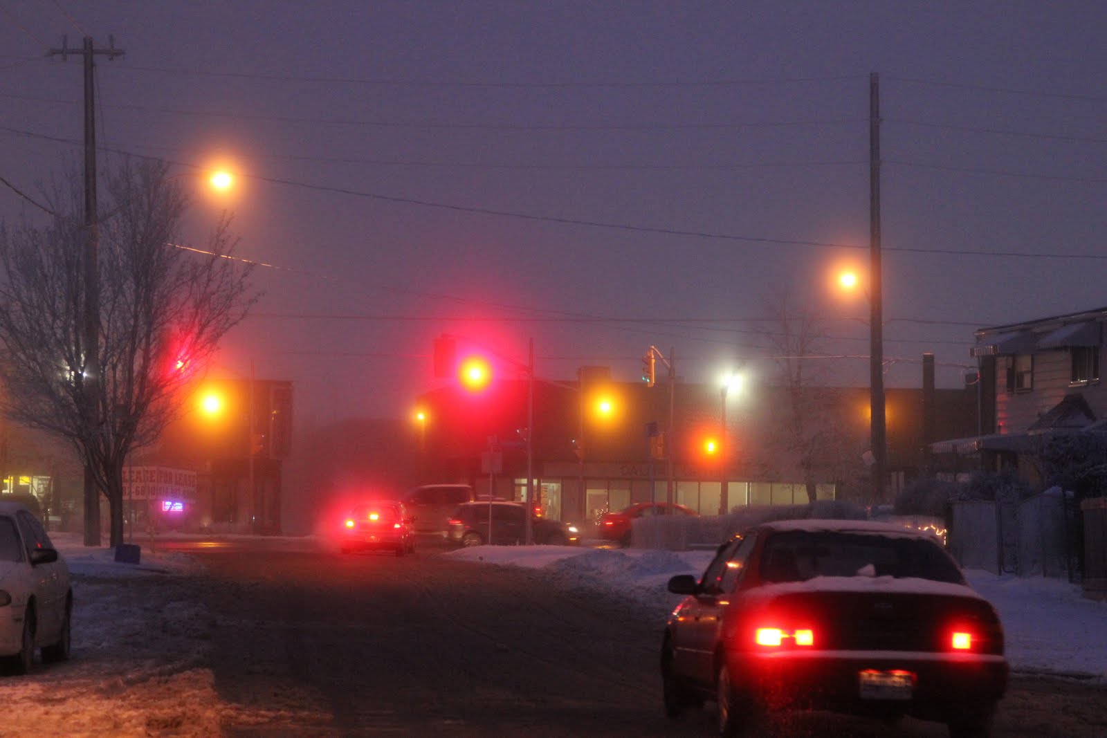 Зимний туман в Торонто, Канада
