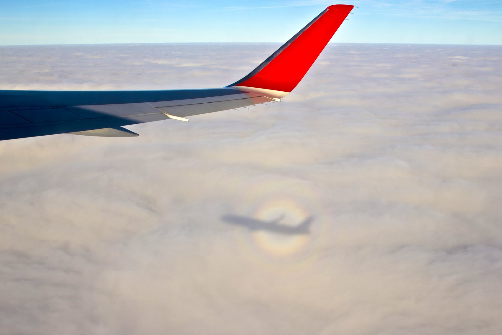 Тень самолёта в облаках и гало