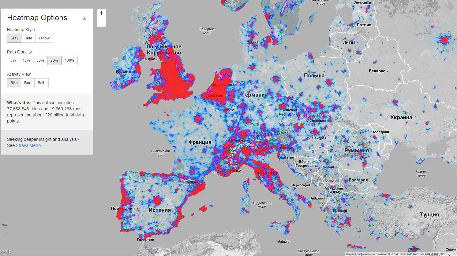Глобальная карта активности strava